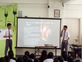 Global Tiger’s Day (2)