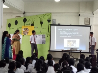 Global Tiger’s Day (3)