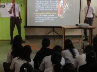 Global Tiger’s Day (5)