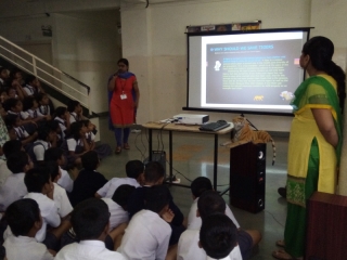 International Tiger’s Day (1)