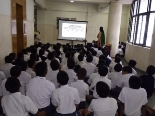 International Tiger’s Day (2)