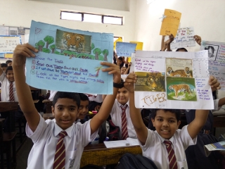 International Tiger’s Day (4)