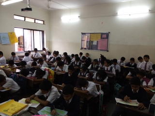 International Tiger’s Day (6)