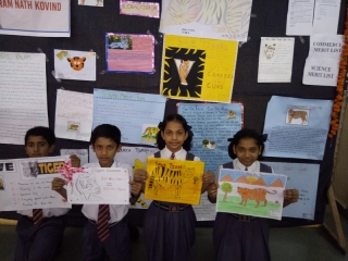 International Tiger’s Day (7)