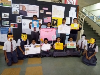 International Tiger’s Day (8)