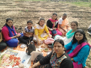 Staff picnic (3)