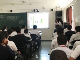 World sparrow day (4)